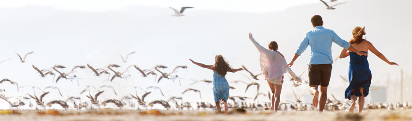 Family of four running on beach with sea gulls.